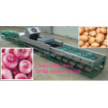 Automatic Fruit Sorter Machine, Fruit Grading Machine